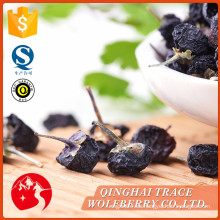 Wolfberry negro de calidad superior de la nueva cosecha caliente de la venta caliente